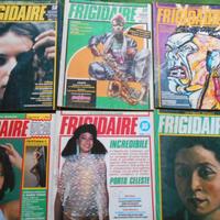 FRIGIDAIRE LOTTO 2 anche singoli
