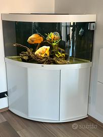 Acquario juwel completo 1 anno di vita