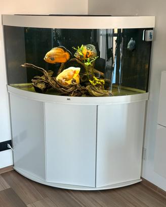 Acquario juwel completo 1 anno di vita