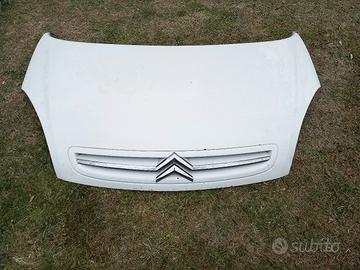 Pezzi citroen xara picasso