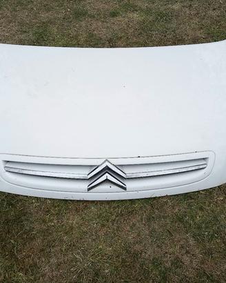Pezzi citroen xara picasso