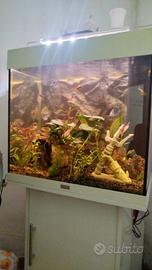 acquario juwel lido 120