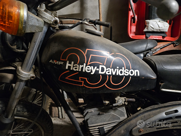 Harley davinson