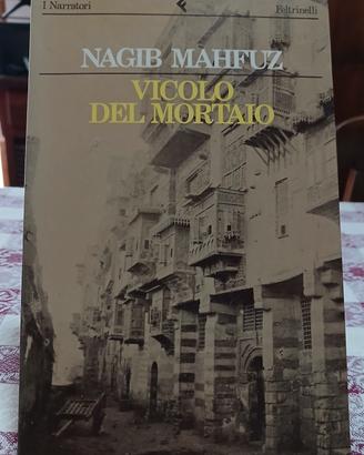 Libro "Vicolo del mortaio"