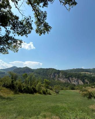 Terreno Agricolo a Pavullo nel Frignano