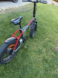 Bicicletta pedalata assistita