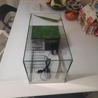 acquario per tartarughe 
