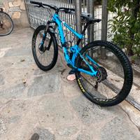 Giant