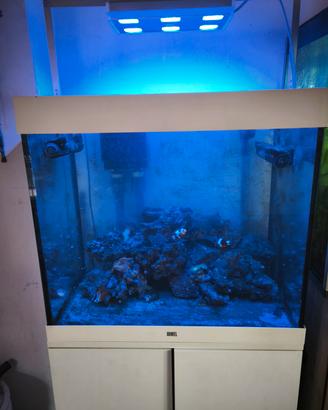 acquario jewl lido 200