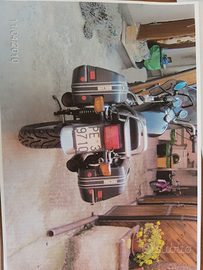 Moto Guzzi v65 florida