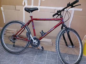 Mountain bike uomo