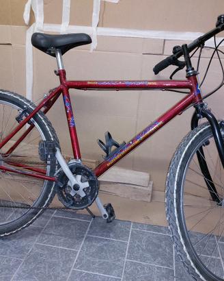 Mountain bike uomo