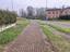 Immagine 7
