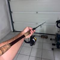 combo canna da spinning siluro