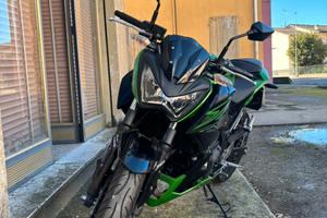 Kawasaki Z300 ABS 2015 scarico G.P.R