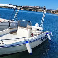 Fiart Brezza 17