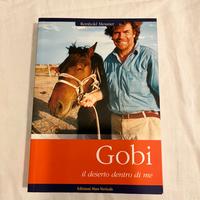 Gobi, il deserto dentro di me - Reinhold Messner