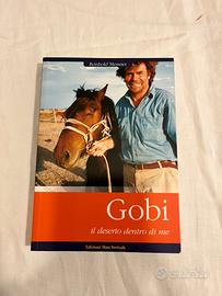 Gobi, il deserto dentro di me - Reinhold Messner