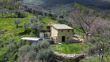 Rustico / Casale di 82 m² con 4 locali a Scandrigl