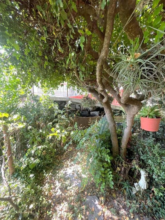 Appartamento – Borghetto d'Arroscia, Provincia di Imperia - Vista 5