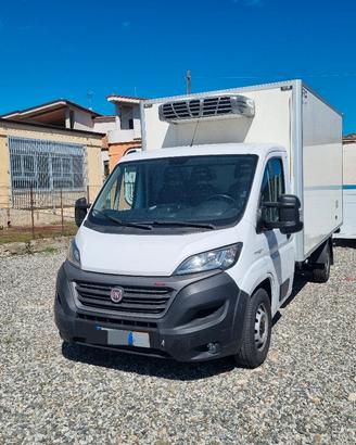 Fiat Ducato 2.3 Multijet 160 Cv Frigo Anno 2021