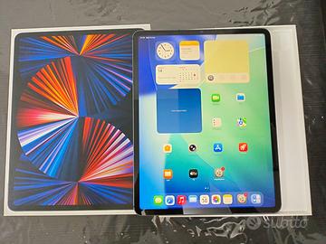 Apple iPad Pro 12.9 M1  5th gen 256 GB wifi cellul