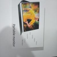 Monitor portatile 16 pollici IVV