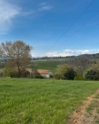 Terreno agricolo