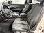 Immagine 11