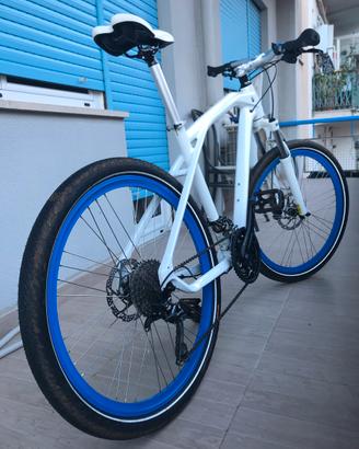 MTB cruise BMW