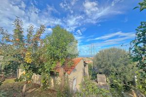 RUSTICO A ROSETO DEGLI ABRUZZI