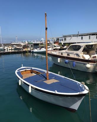 Gozzo Sorrentino Aprea Mare