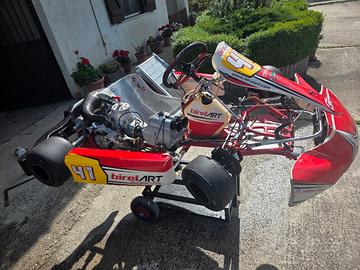 Birel Art