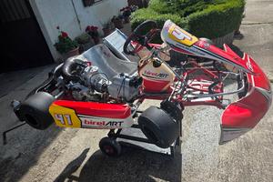 Birel Art