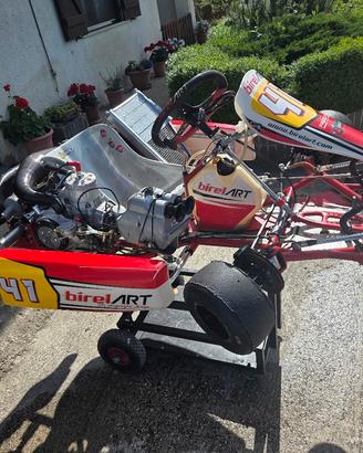 Birel Art