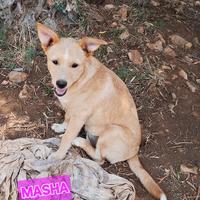 Masha la piccolina