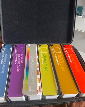 Valigetta con Pantonari Pantone