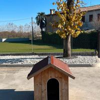 Cuccia