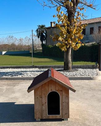 Cuccia