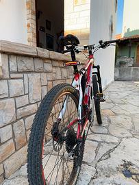 FRW 27.5 carbonio