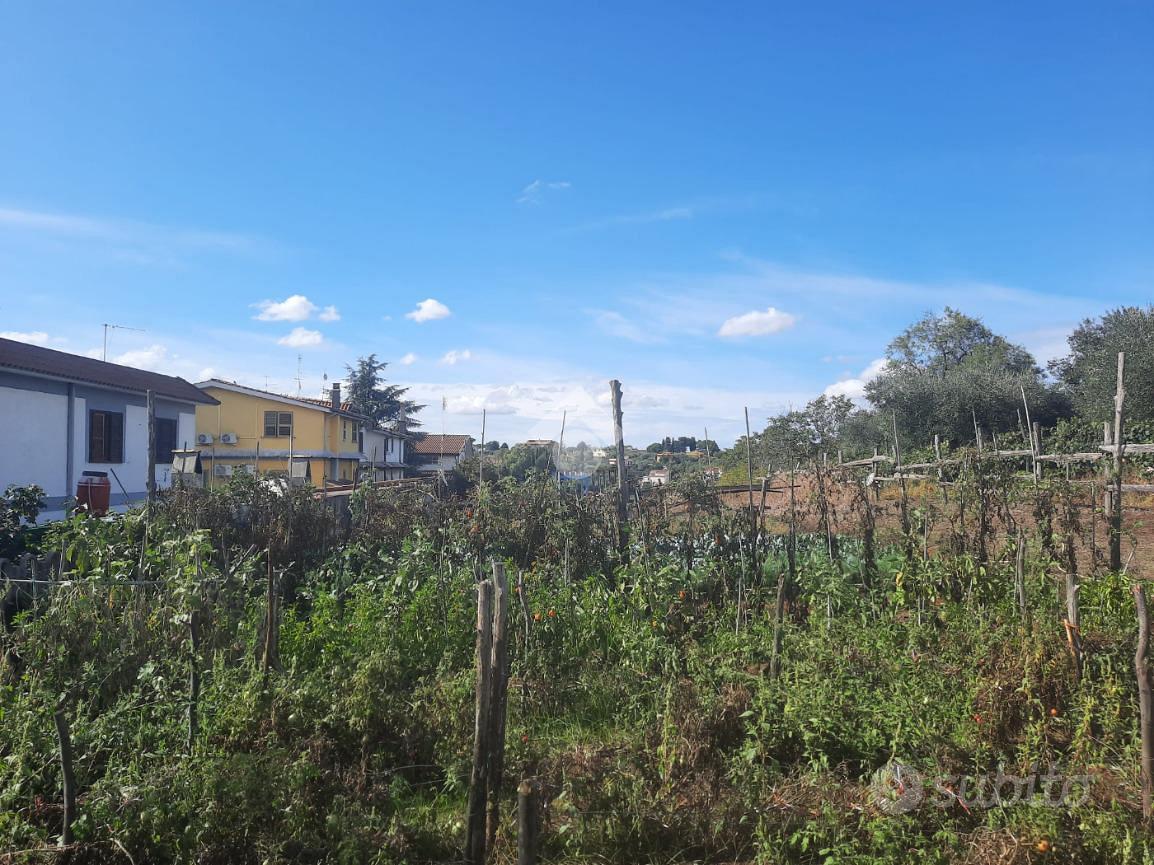 TER. AGRICOLO A ALBANO LAZIALE - Altro