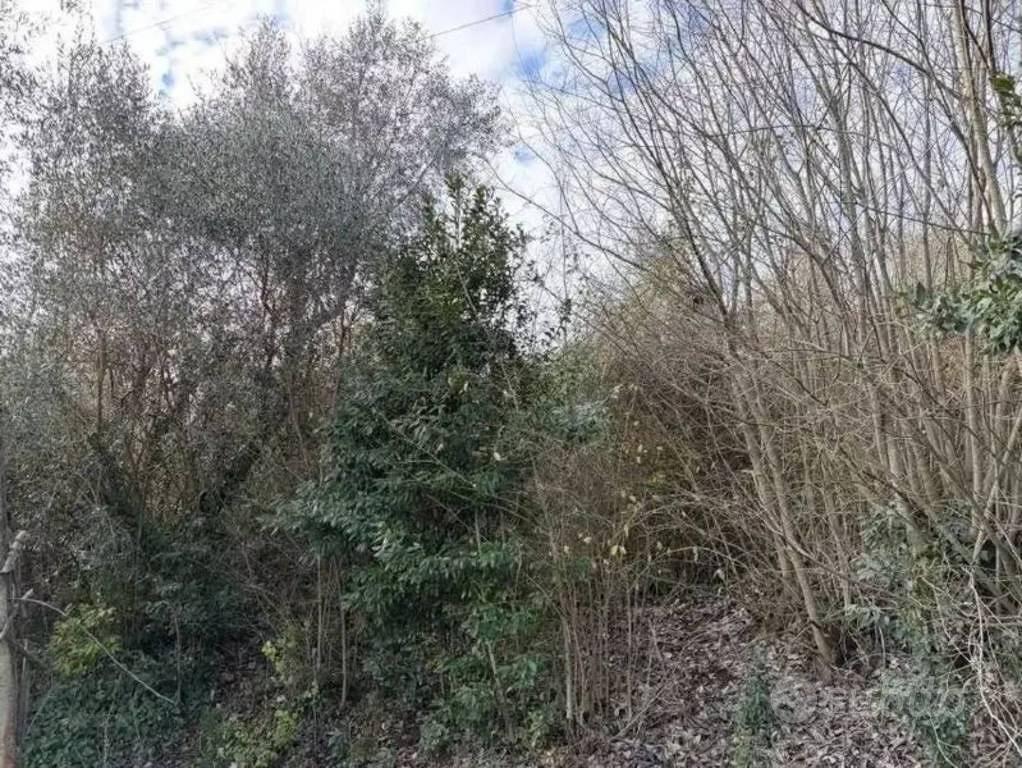 Immobile in asta di 14090 m² a Bomarzo - Altro