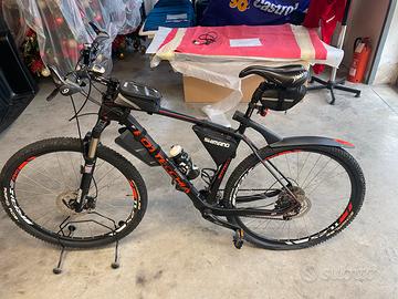 Bottecchia carbonio