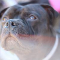 Il matrimonio di Miguel