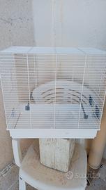 gabbia nuova 30 euro 