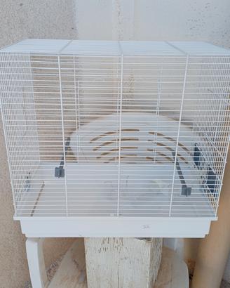 gabbia nuova 30 euro 