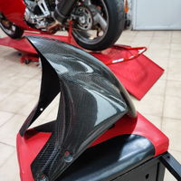 Parafango Ducati