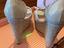 Immagine 4