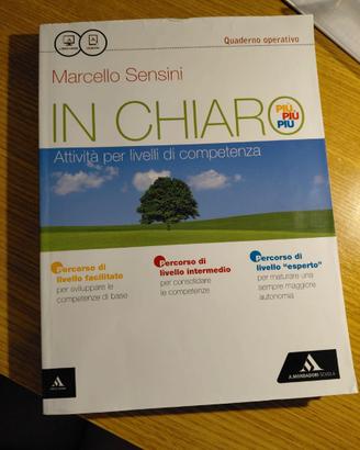 Libro di grammatica