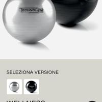 Wellness Ball Technogym – Professionali